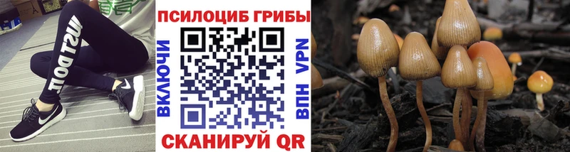 Галлюциногенные грибы Psilocybe  Сочи 